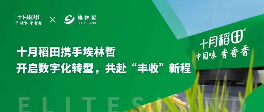 十月稻田携手埃林哲，借助数字化利器驶向 “丰收” 彼岸